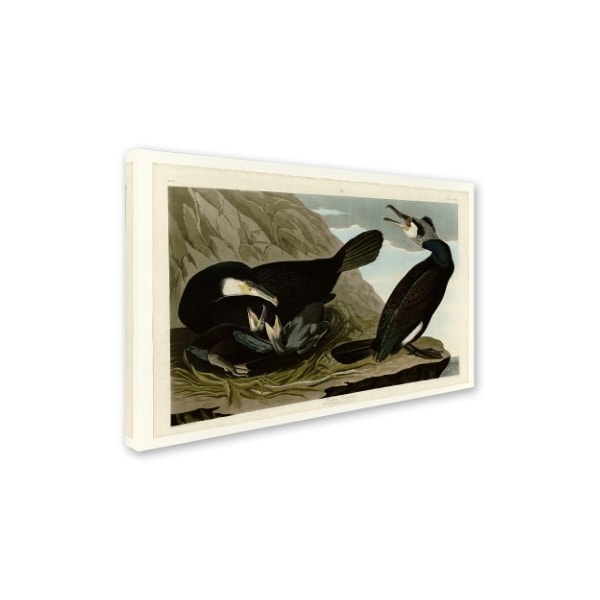 Audubon 'Common Cormorantplate 266' Canvas Art,22x32